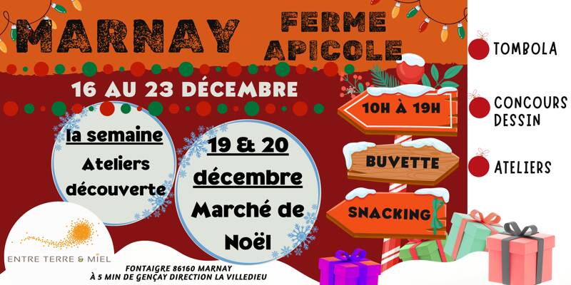 Noël à la ferme chez Entre Terre & Miel