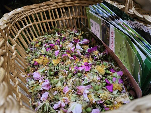 OCTOBRE ROSE - Atelier cosmétique naturel