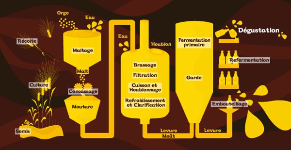 atelier d'initiation à la fabrication de bière