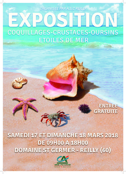 EXPOSITION DE COQUILLAGES, CRUSTACES, OURSINS ET ETOILES DE MER