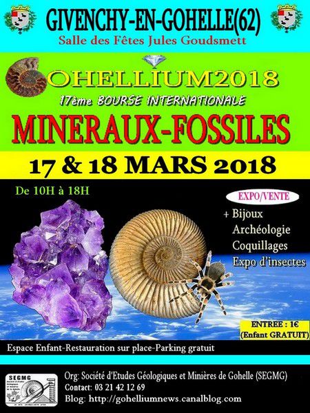 GOHELLIUM2018, 17ème Bourse Internationale Minéraux-Fossiles