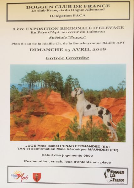 Exposition Canine régionale du Dogue Allemand