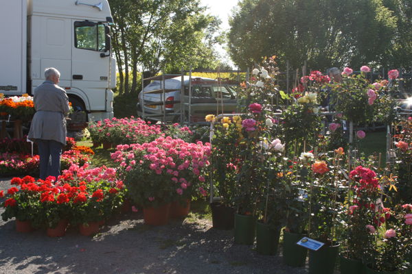 FETE DES FLEURS