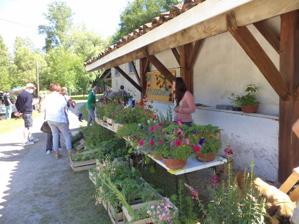 VIDE JARDIN VIDE GRENIER