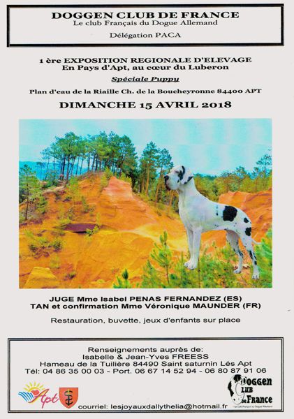 EXPOSITION CANINE