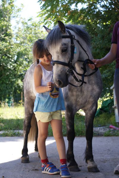 CHASSE aux ŒUFS à PONEY