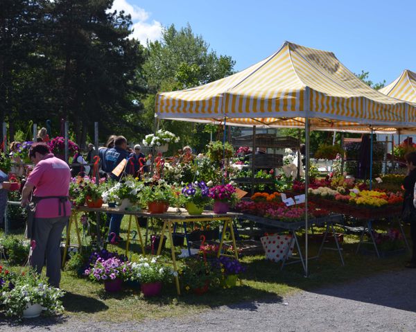 20ème fête des jardins à BIGANOS (33)