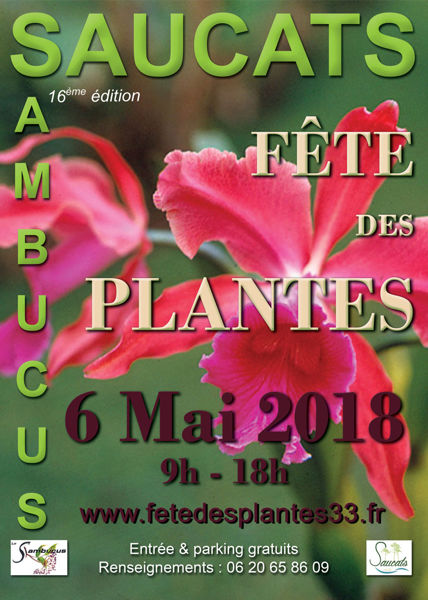 FÊTE DES PLANTES