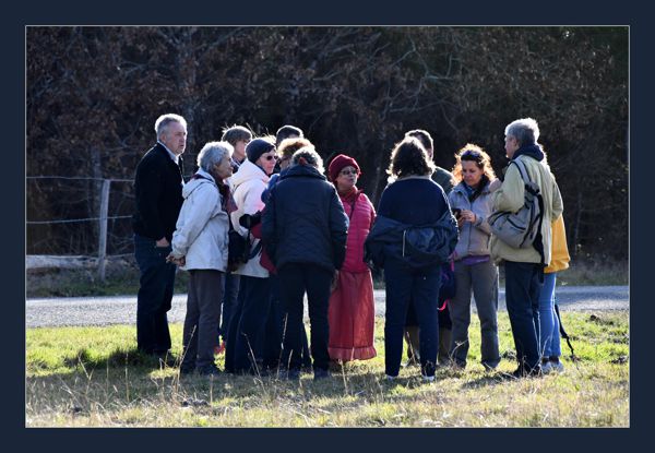 A la découverte de la biodiversité d'un parc