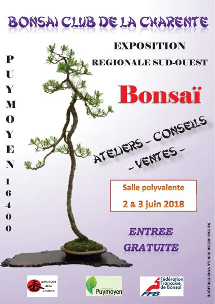 Exposition Régionale de Bonsaïs