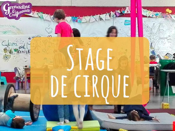 Stage de cirque