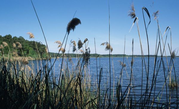 Rendez-vous de la Biodiversité : Santé