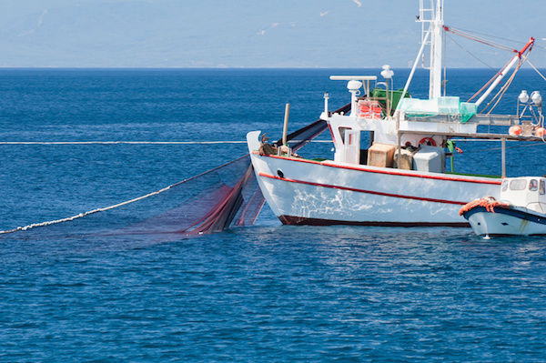 3ème Tournoi national de Pêche au Gros