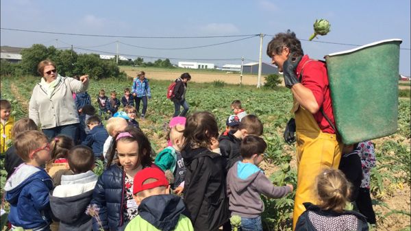 L'artichaut fête l'été