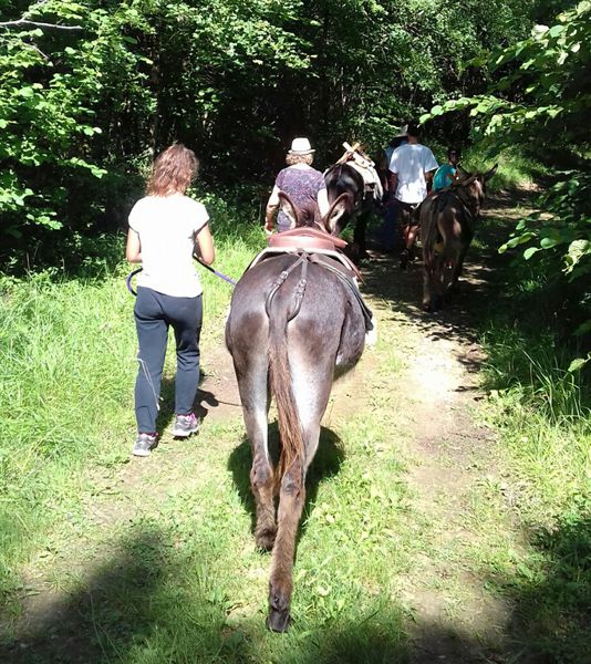 Randonnée guidée avec des ânes, 2 Août, Auriac de Bourzac