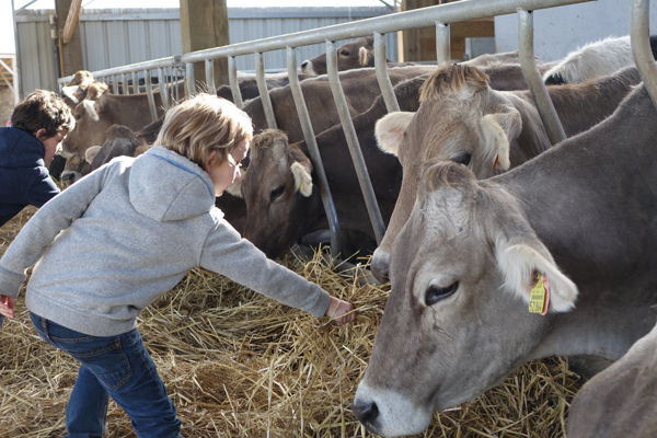 Visite et goûter à la ferme