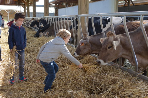 Visite et goûter à la ferme