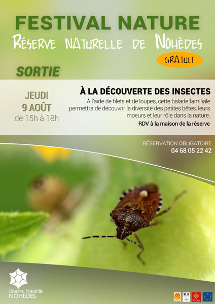 Sortie nature