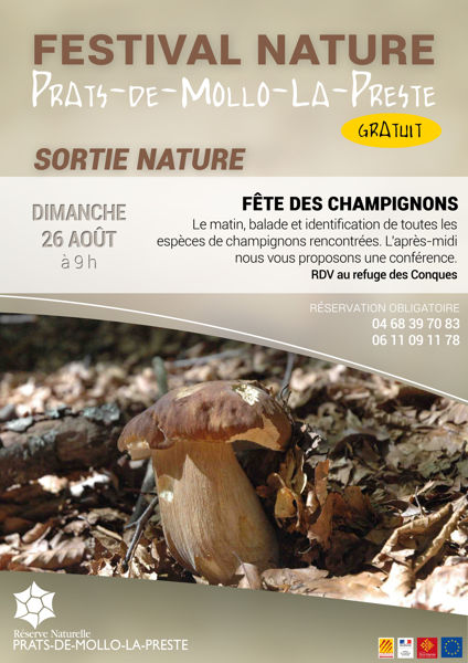 Fête des champignons