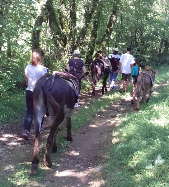 Randonnée guidée avec des ânes Auriac de Bourzac