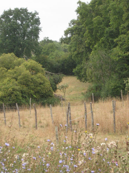 Atelier d'initiation à l'agroforesterie