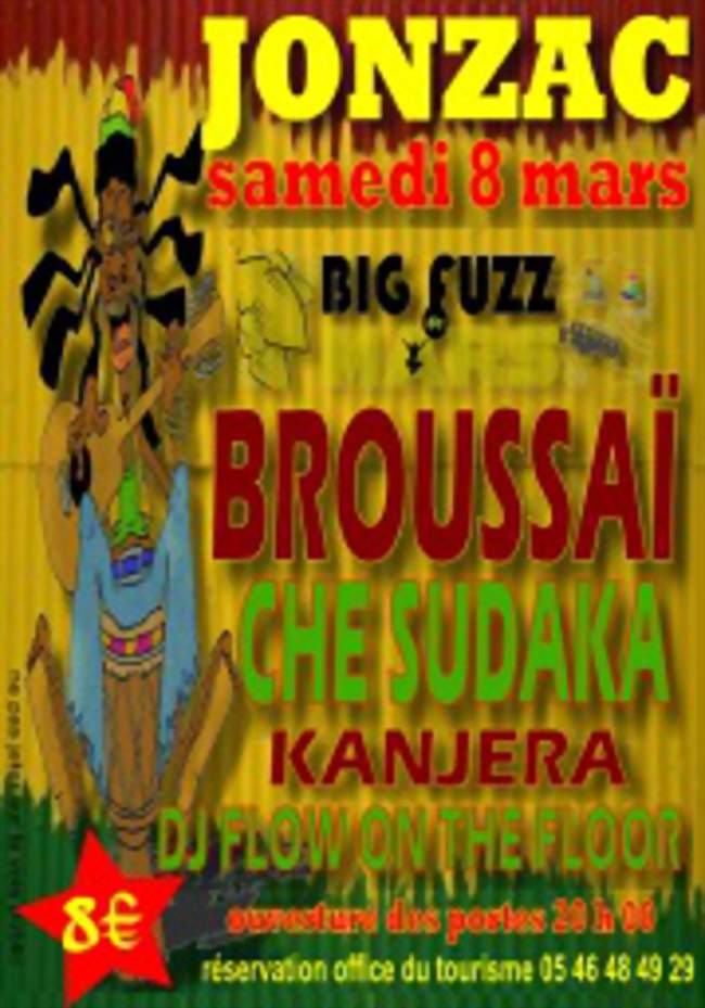 BIG FUZZ 2014 - concerts reggae, rock, funk