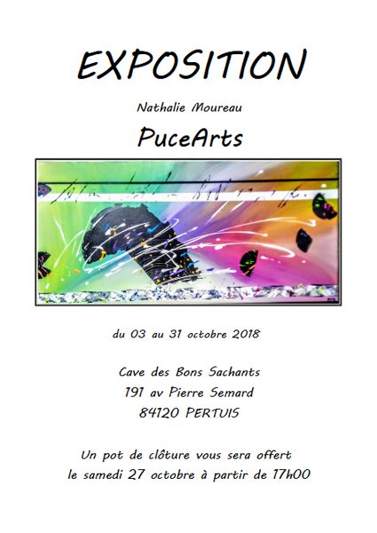 Exposition /Vente de PuceArts