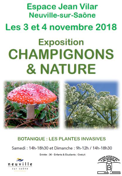 CHAMPIGNONS ET NATURE