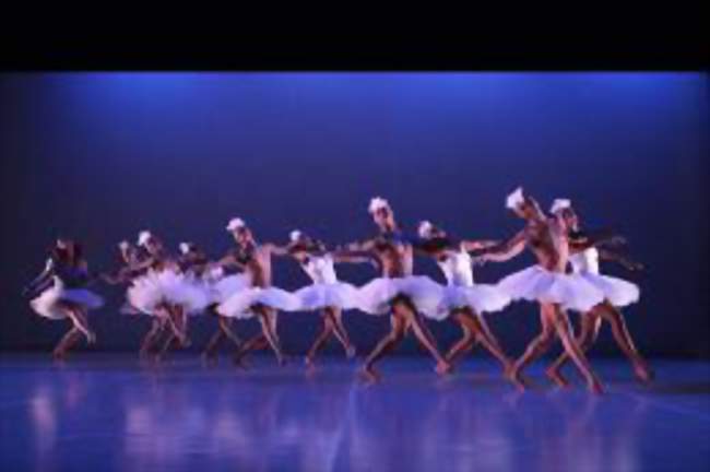 SWAN LAKE