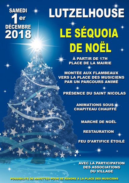 Le Sequoia de Noël