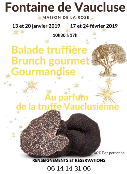 Balade, brunch gourmet autour de la truffe