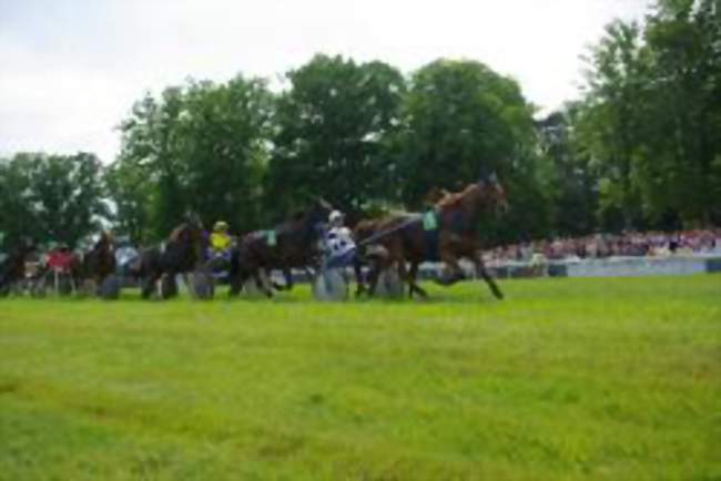 Course hippique 