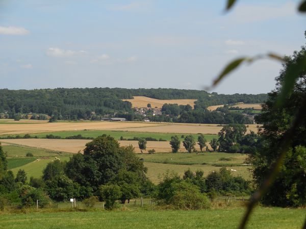 balade du curieux : arbres et chemins ruraux