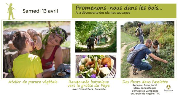 Promenons-nous dans les bois...A la découverte des plantes sauvages