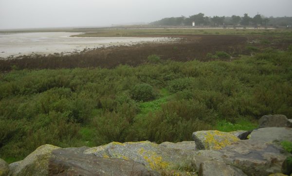 Collecte de déchets - Baie de Bourgneuf