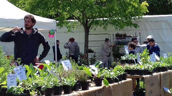 FETE DES FLEURS