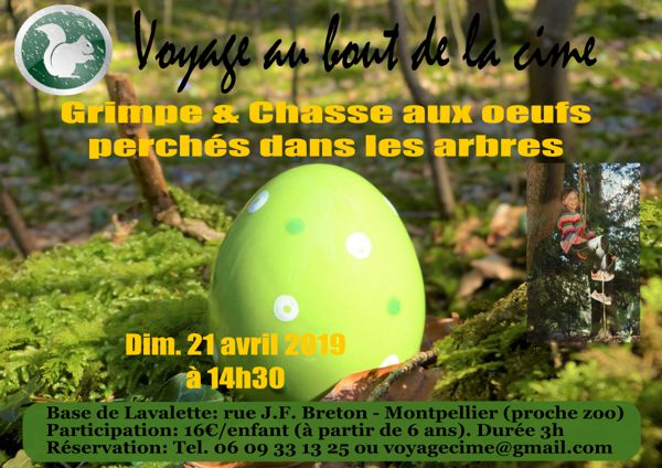 Grimpe & Chasse aux Oeufs perchés