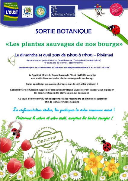 Sortie botanique : « Les plantes sauvages de nos bourgs »