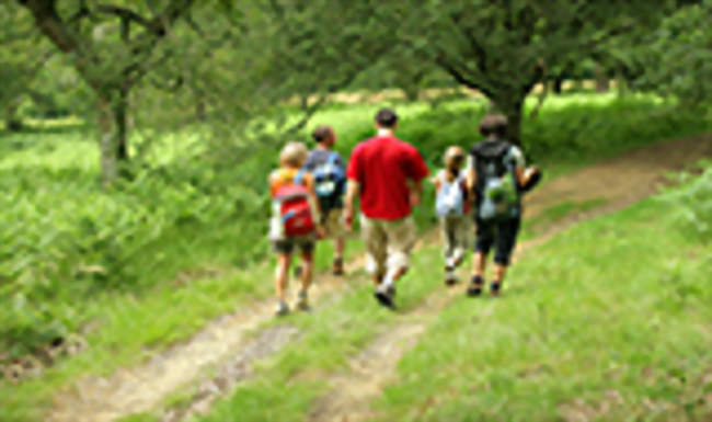 Randonnée découverte