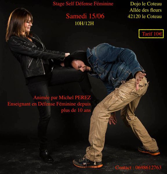 La self défense féminine à Rennes ( Training)