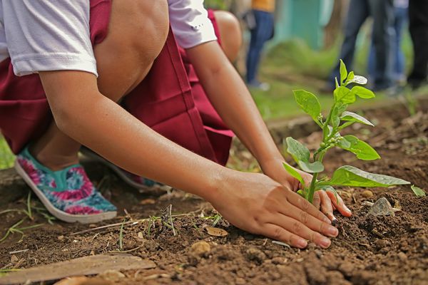 Le compost au jardin