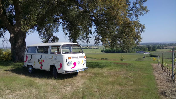 Escapade dans le vignoble et visite de la cave