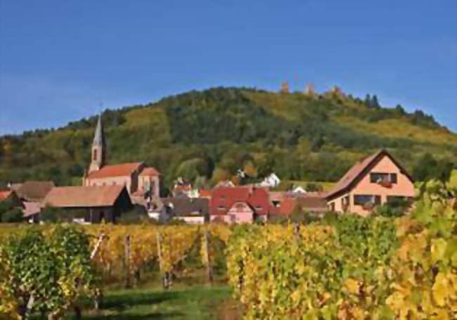 Randonnée accompagnée vers les Trois Châteaux