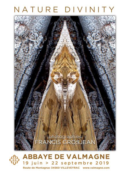 L'abbaye de Valmagne Expose Nature Divinity de Francis Grosjean