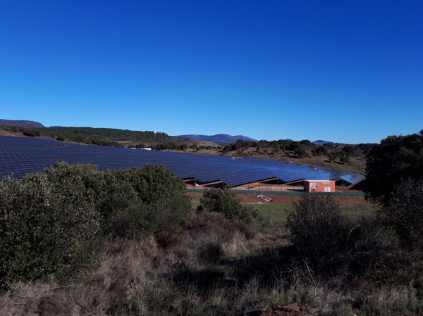 Pâturage et Photovoltaïque à Tréviols