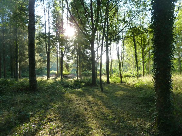 Visite de l'Arboretum