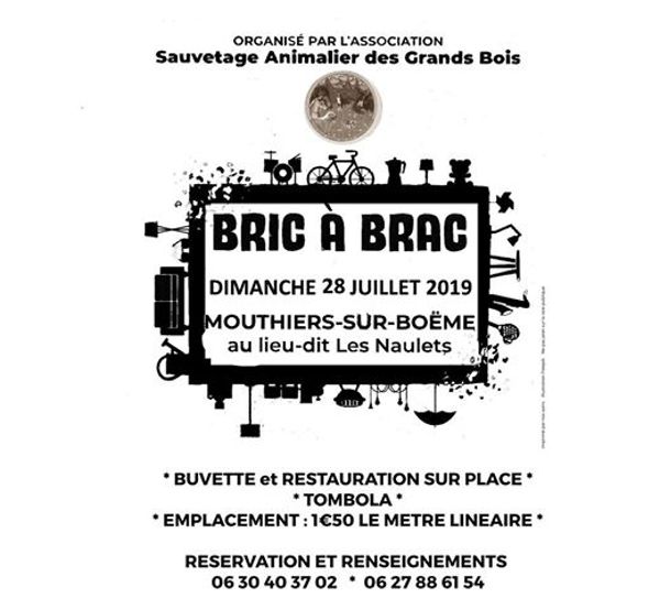 BRIC Å BRAC