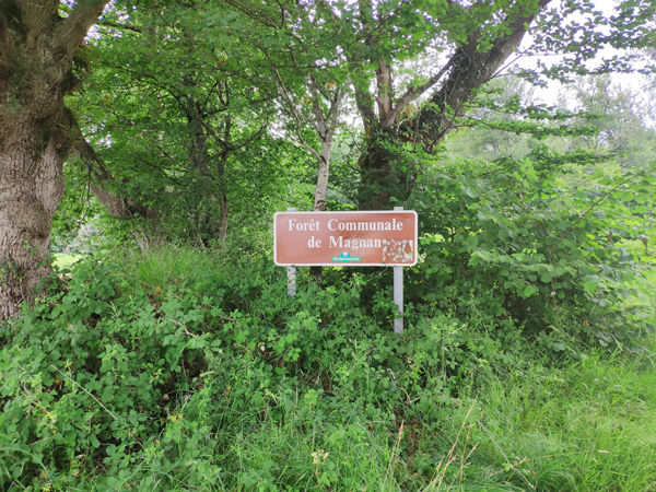 Boucle au départ de l'étang du Pesqué 12km