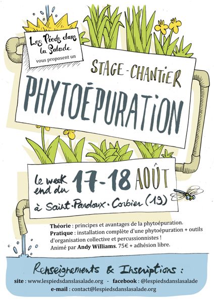 Stage Phyto-épuration