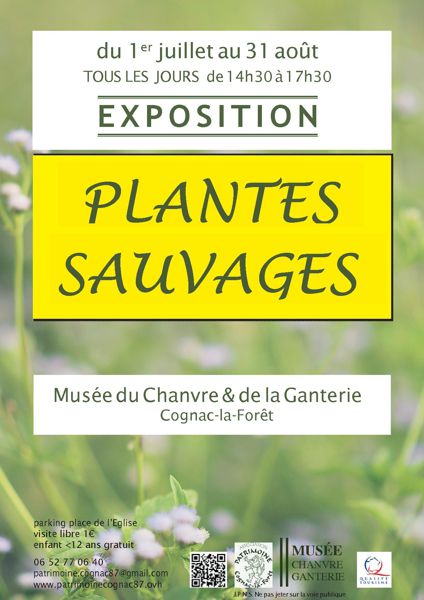 plantes sauvages